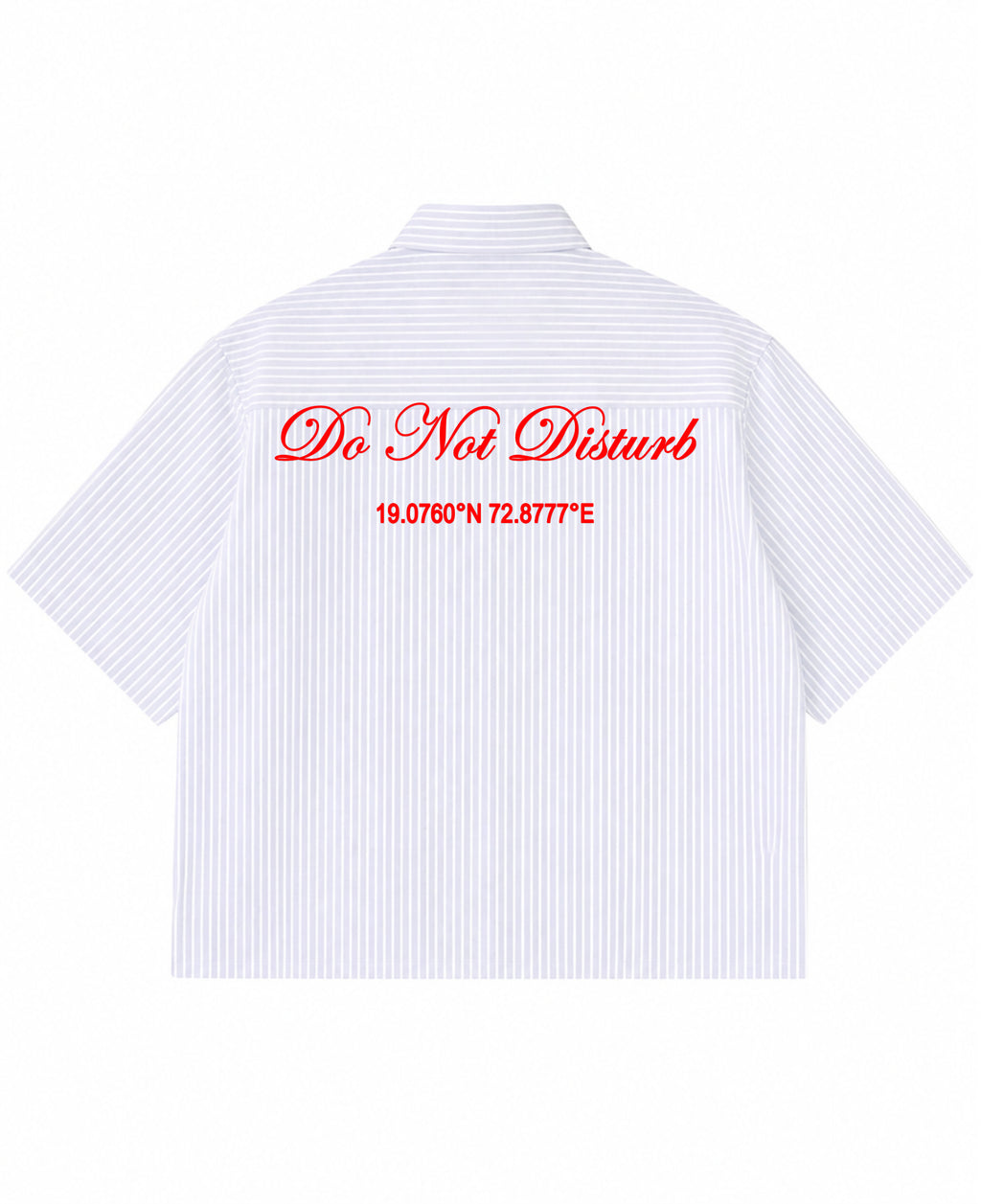 Blue Striped Oxford Boxy Shirt Back Design