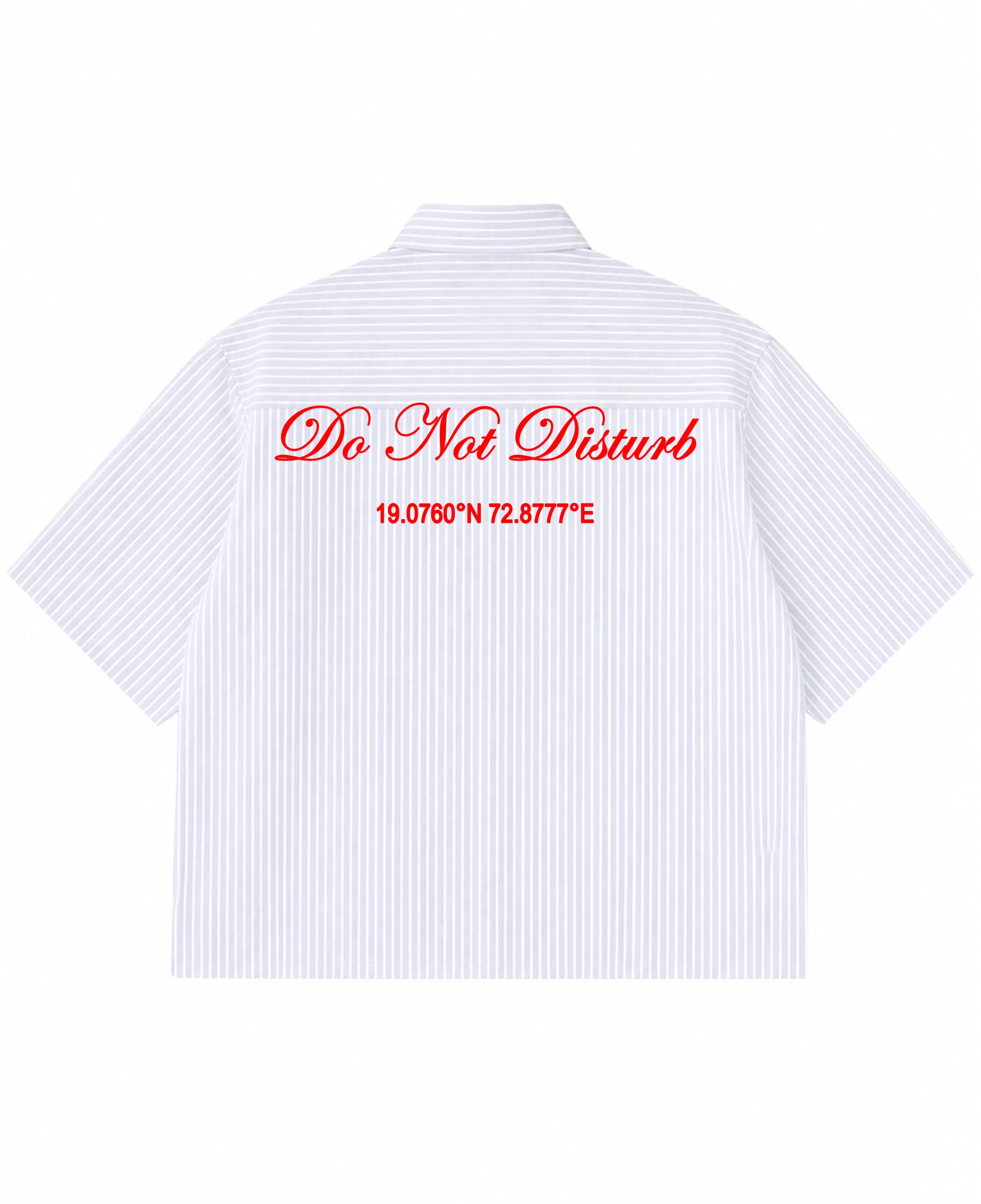 Blue Striped Oxford Boxy Shirt Back Design